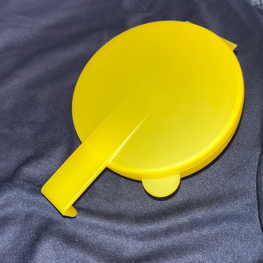 Tupperware Forget me not Round Hanging Fridge Keeper